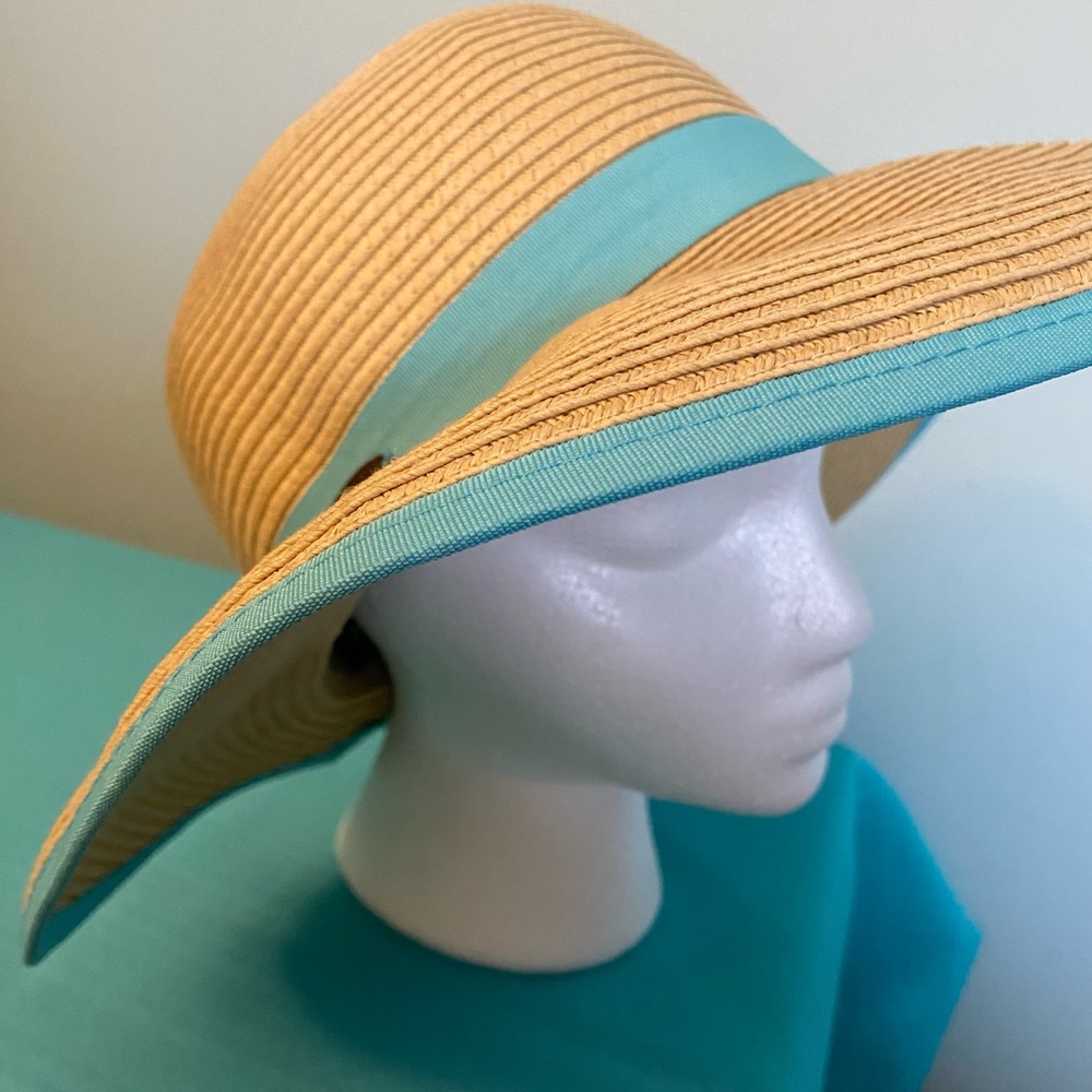 Elegant Tan and Blue Wide Brim Hat